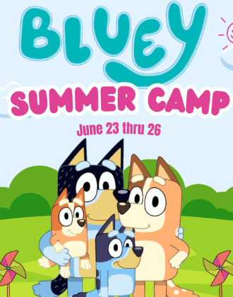 Bluey Summer Camp